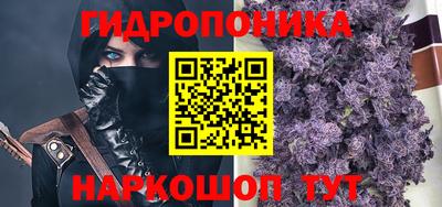 прущие грибы Кинель