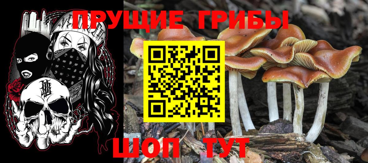 МЕФ  ГАШИШ  Донской  Вход с VPN  МЕФ кристаллы 