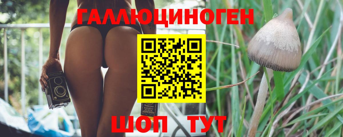 Донской  Галлюциногенные грибы ЛСД  Вход с VPN  Псилоцибиновые грибы GOLDEN TEACHER 